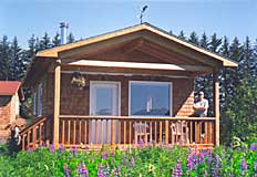 Fireweed Cabin Exterior at Blue Heron Bed and Breakfast