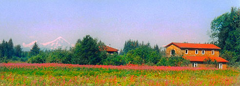 Blue Heron Bed and Breakfast with wildflowers