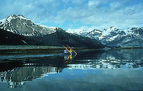 Kayaking Up Bay